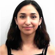 Clases online de diseño básico